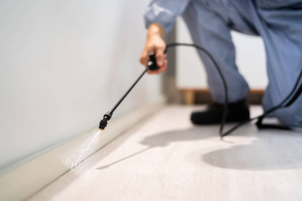 Professional exterminator conducting IPM assessment in Campbell