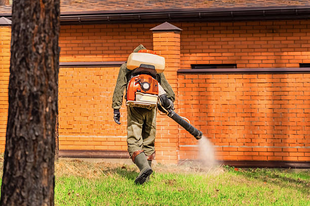 Top rated local Mosquito Control specialists in Campbell, OH